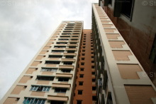 Blk 211 Petir Road (Bukit Panjang), HDB 5 Rooms #224302